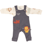 سالوبيت فانى بانى خريفى