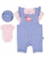 سالوبيت نص كم قطعتين فانى بانى