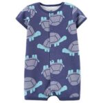 سالوبيت كارترز صيفى