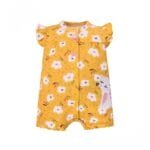 سالوبيت كارترز صيفى