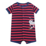 سالوبيت كارترز صيفى