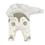 سالوبيت ديناصور قطن