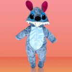 سالوبيت استيتش فرو