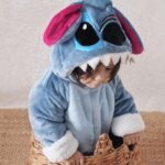 ⁦سالوبيت استيتش فرو⁩ - الصورة ⁦4⁩