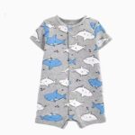 سالوبيت كارترز صيفى