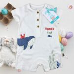 سالوبيت نص كم فانى بانى