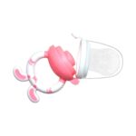 لهاية الفاكهة للأطفال - Chicco Fruit Feeder