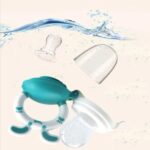 لهاية الفاكهة للأطفال - Chicco Fruit Feeder