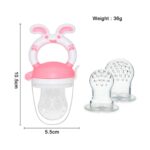 لهاية الفاكهة للأطفال - Chicco Fruit Feeder